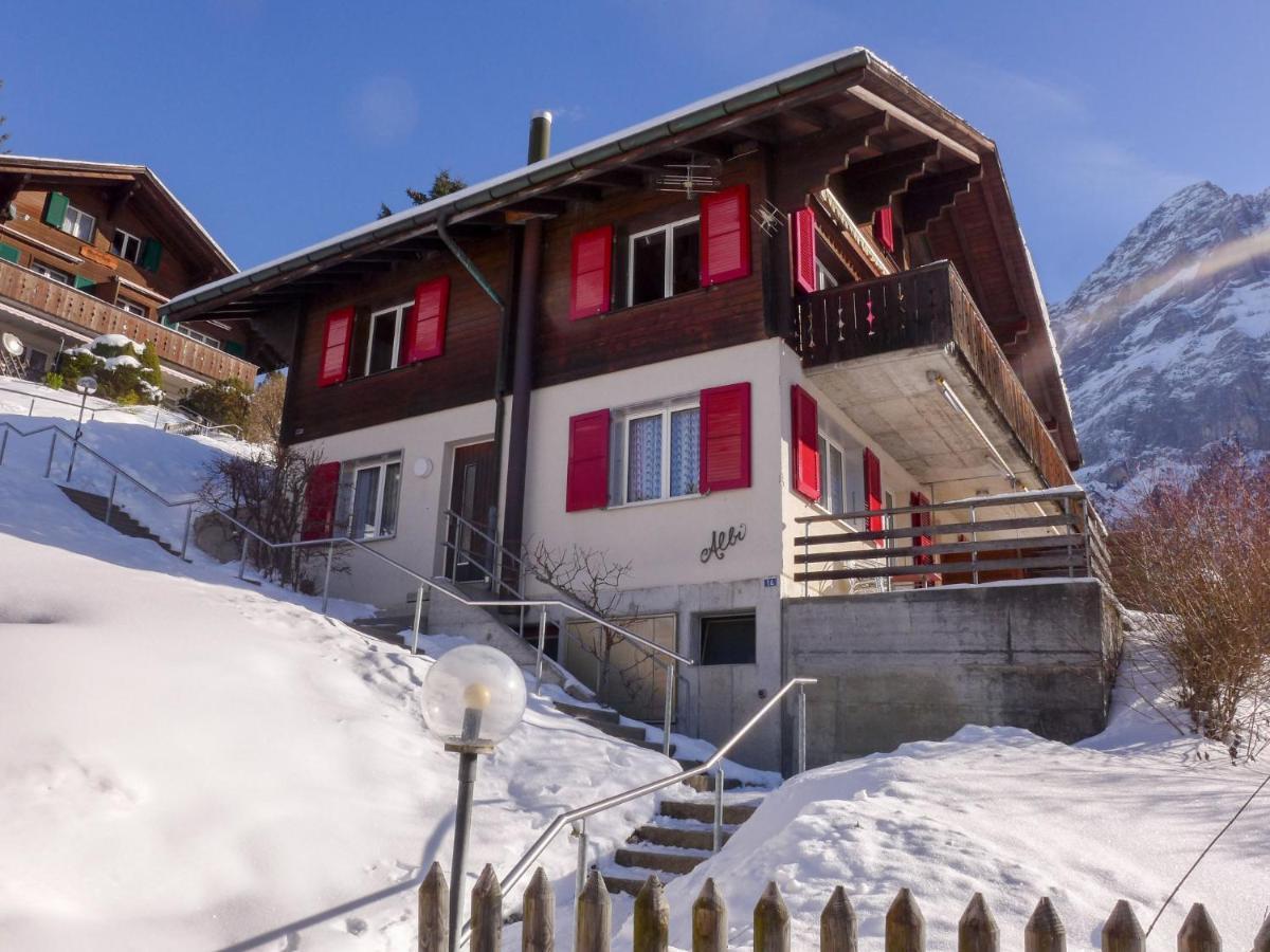 Apartment Chalet Albi By Interhome Гріндельвальд Екстер'єр фото